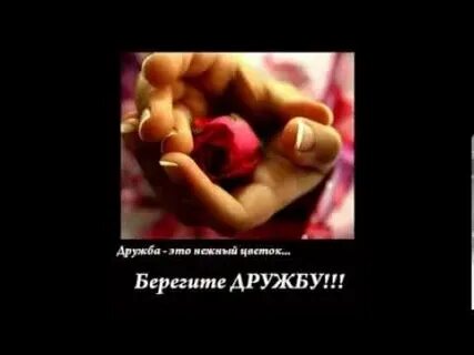 Дружбу не бережешь