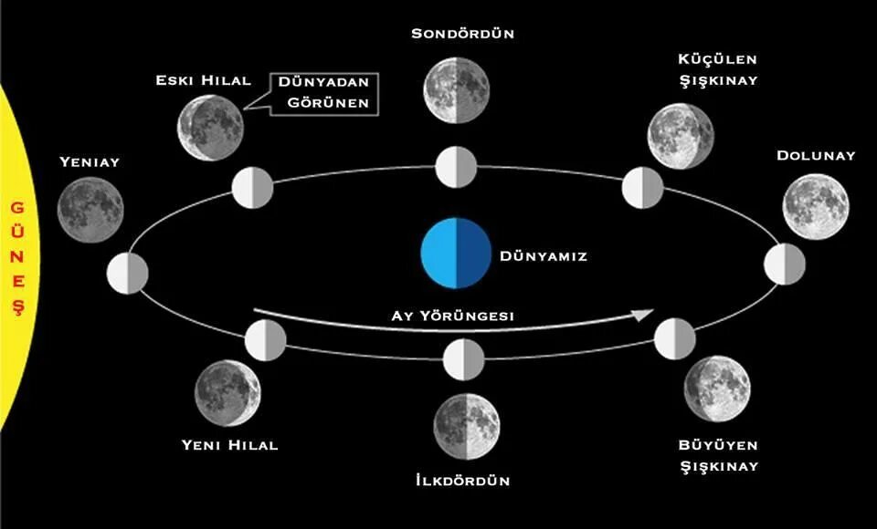 Движение планет луны. Фазы луны для детей. фазы луны рисунок для детей. карточки фазы луны для детей. картинки фазы луны для дошкольников.