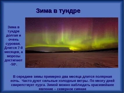 Полярные ответы на вопросы