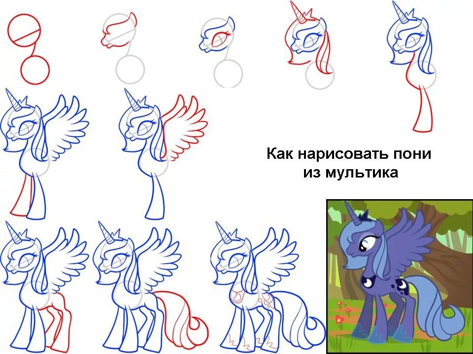 My little pony делать. Как нарисовать пони. Как рисовать пони. Рисунки для срисовки пони. Пошаговое рисование пони.