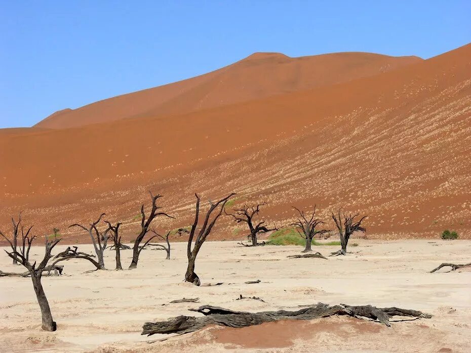 Самая сухая пустыня в африке. Соссусфлей мертвая Долина. Плато Соссусфлей, Намибия. Мертвая Долина в пустыне Намиб. Полупустыня Намиб.