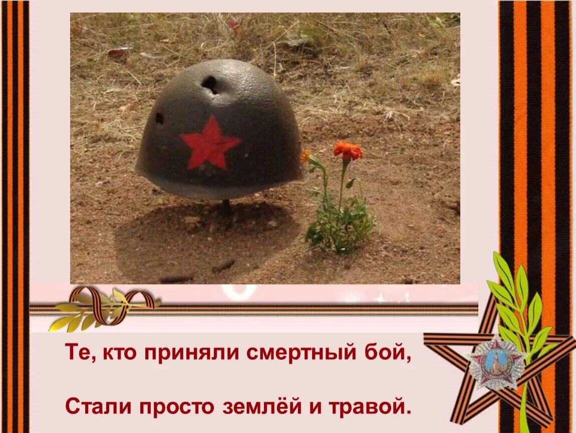 Сорная трава на газоне. Земля с травой вблизи. О героях былых времен. Текстура земли. Сорняки на газоне.