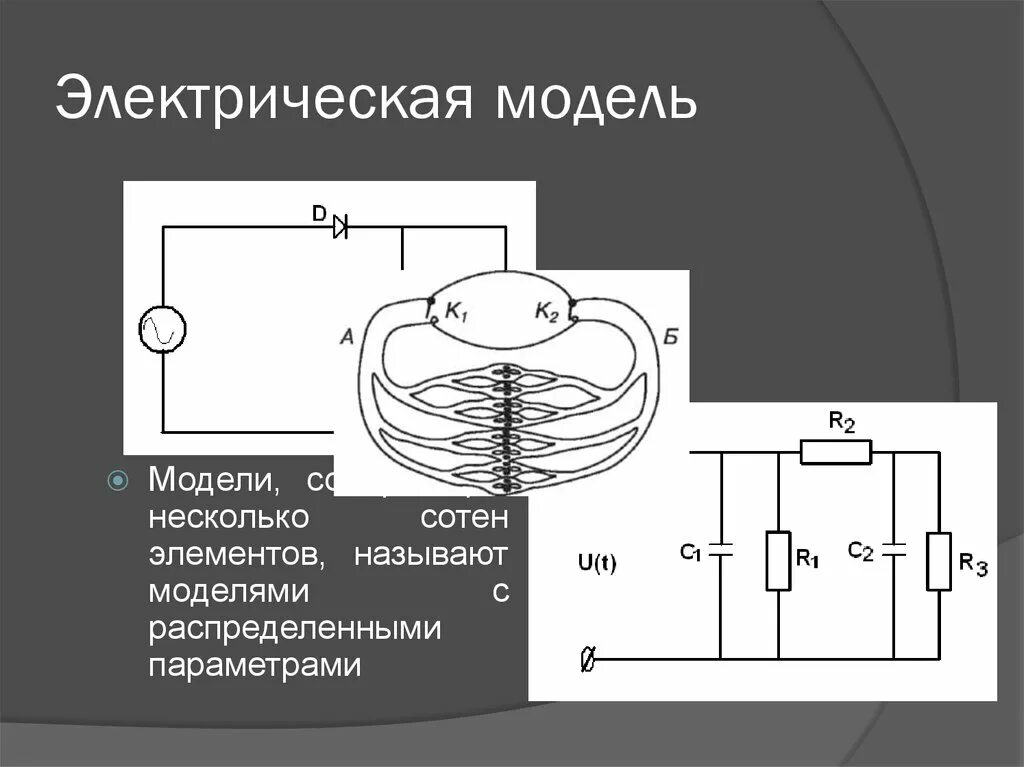 Электрическая модель. Электрическая модель электрическая модель. Электростатическая модель. Электрическая модель кровообращения.