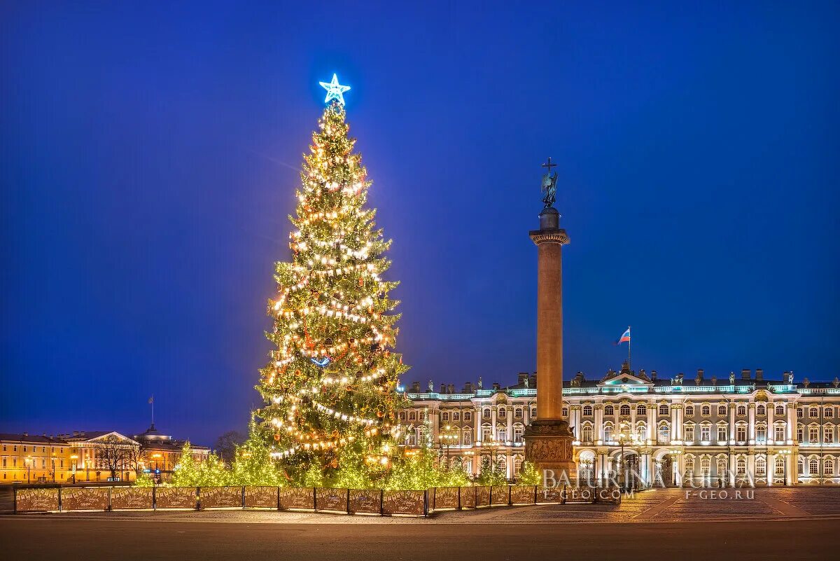 Ёлка на дворцовой площади в санкт-петербурге 2020. Ёлка на дворцовой площади в санкт-петербурге 2021. Ёлка на дворцовой площади в санкт-петербурге 2021. Дворцовая площадь елка спб. Главная елка санкт-петербурга на дворцовой площади 2022.
