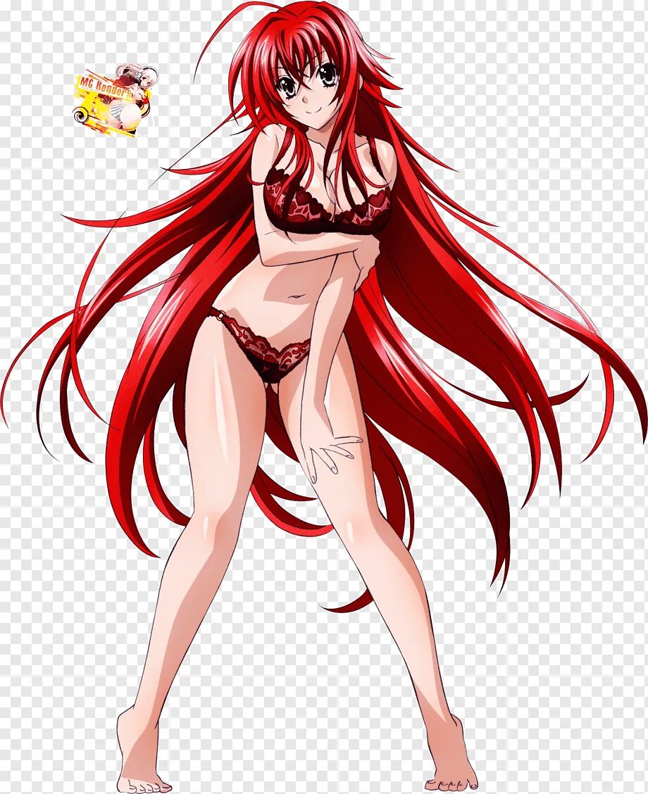 Rias Gremory. Демоны старшей школы Риас Гремори. Демоны старшей школы когда вышел