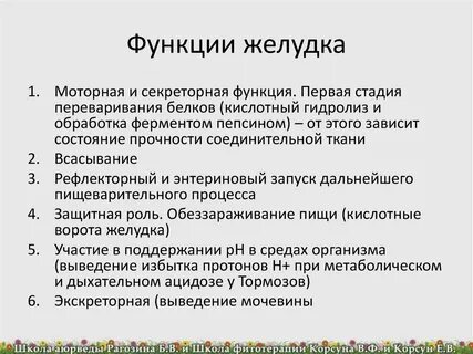 Желудок функции