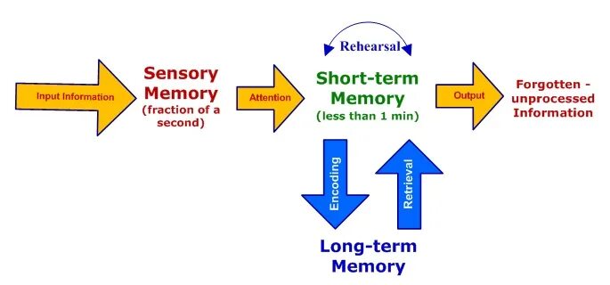 Short memory. Short term Memory. Short Memory long Memory. Long term Memory. Mechanism of short term Memory.