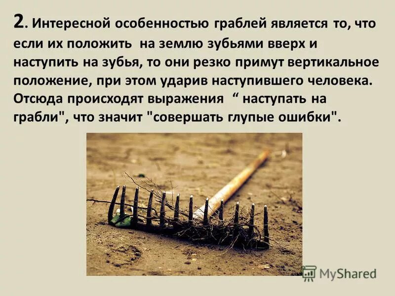 Зубьями вверх. Зубьями вверх. Грабли малые 5 зубов 6003g садовита. Грабли витые инструм-агро гв-16 010713 без черенка. Диск пилы вектор.