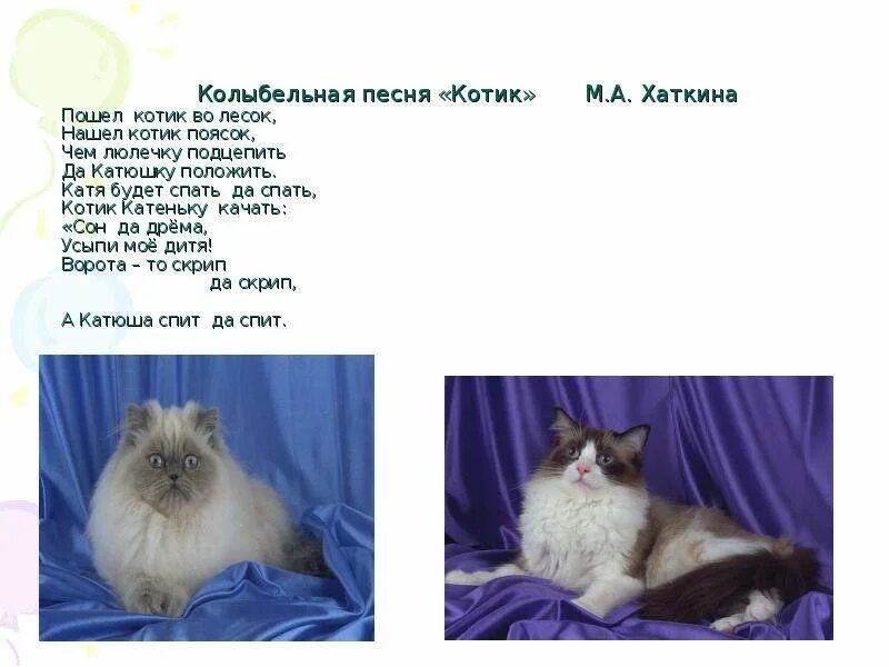 Включить песню котик котик