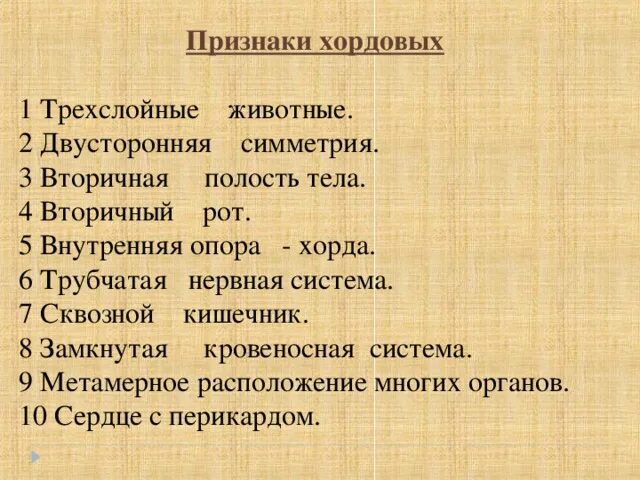 Характерные признаки типа Хордовые. Основные признаки хордовых. Признаки хордовых животных. Основные признаки типа хордовых.