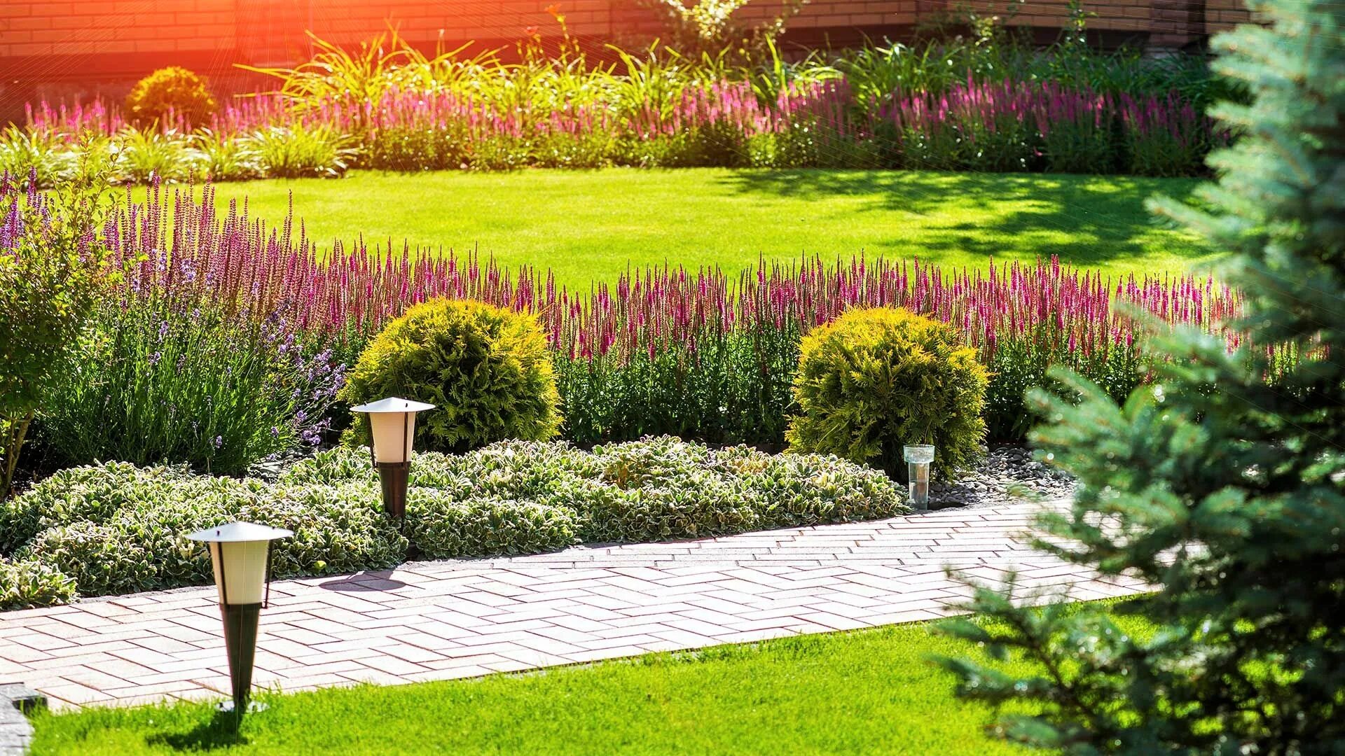 Garden premium