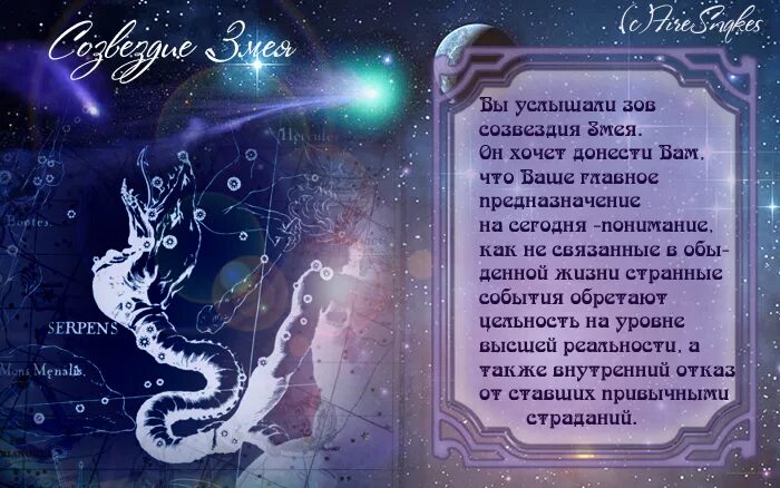 Девушка и дракон. Козерог год дракона женщина. Фото дракона и козерога. Дракон козерог. Козерог.