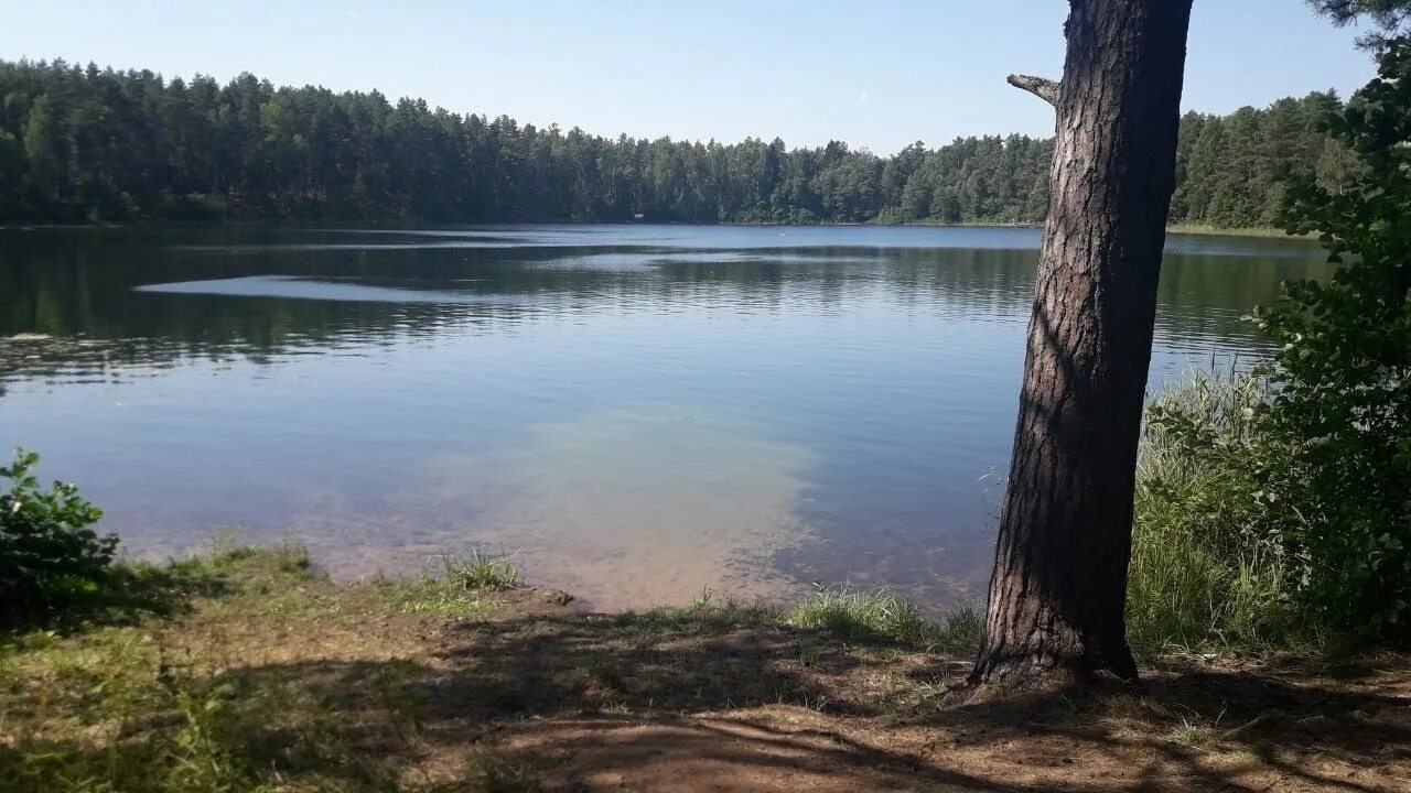 псковская обл санаторий голубые озера. голубые озера опухлики. санаторий голубые озера опухлики. голубые озера опухлики. опухлики санаторий голубые.