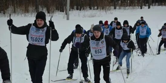 Семейная лыжная эстафета. Лыжная база Агрыз. Лыжи любители. Погода в Агрызе.