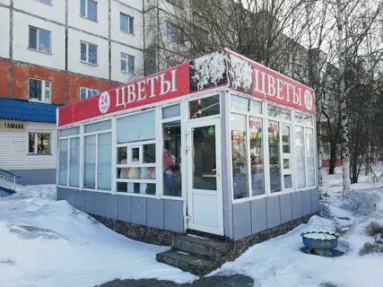 Семь цветов сургут
