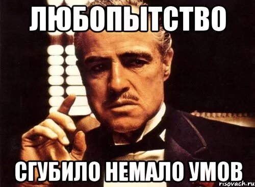 Как правильно любопытство разбирает Любопытство в рекламе. Как побудить клиентов к покупке Иванов Алексей Николаевич