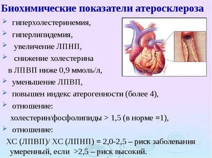 Гиперхолестеринемия мкб 10 у взрослых