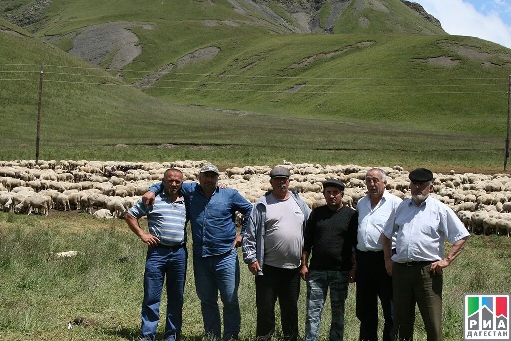 Погода вихли. Село Хосрех Кулинский район. Село Кая Кулинский район. Село Вихли Дагестан. Цущар Кулинский район.