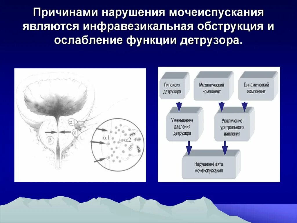 Нарушение функции мочеиспускания