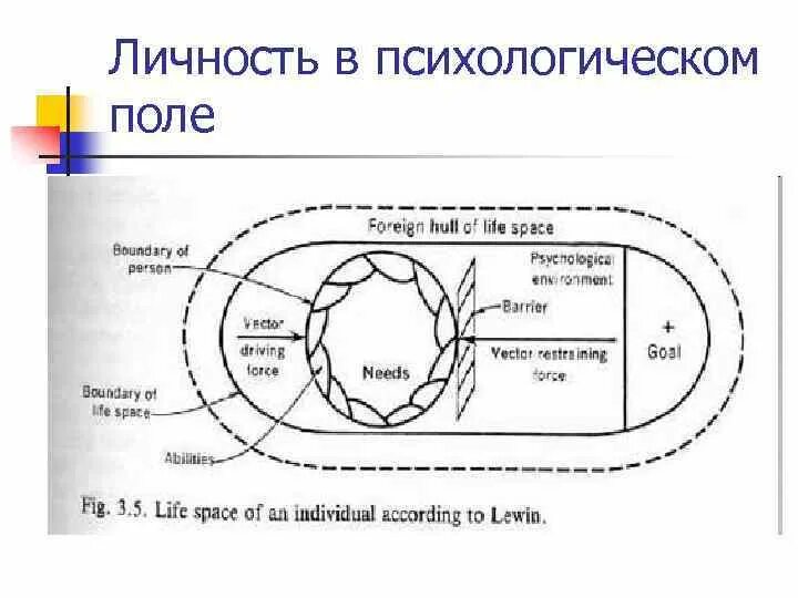 Единое поле теория. Теория поля Курта Левина схема. Левин теория поля в психологии. Курт Левин теория поля схема. Психологическое поле Курт Левин.