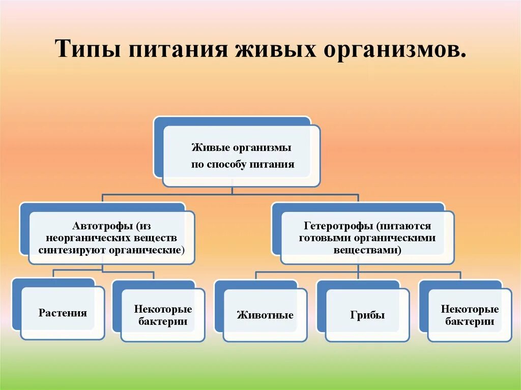 Организмы питающиеся живыми организмами это. Питание живых организмов. Типы питания всех живых организмов. Способы питания живых организмов. Типы питания живых организмов 5 класс биология.