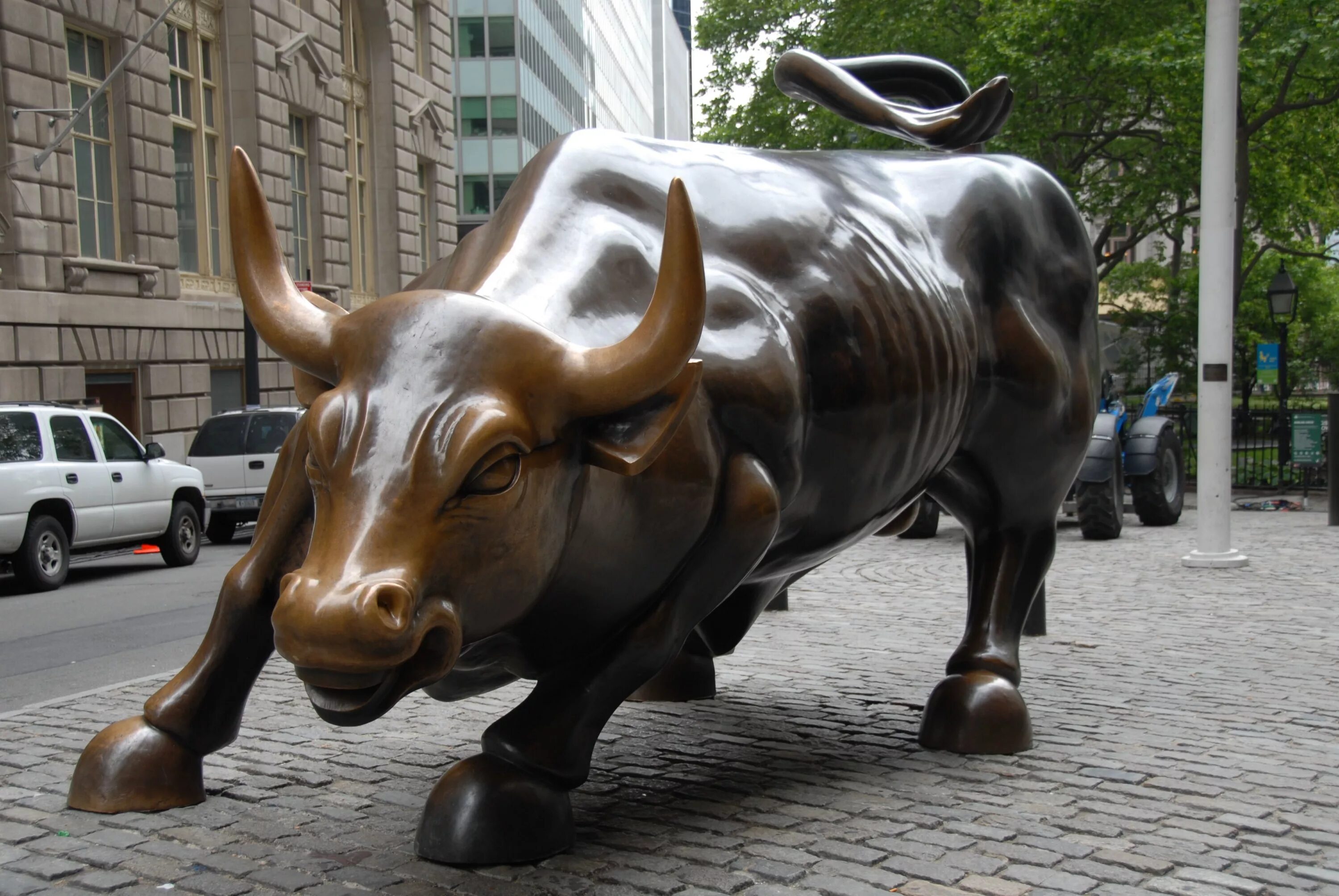 Styling bull