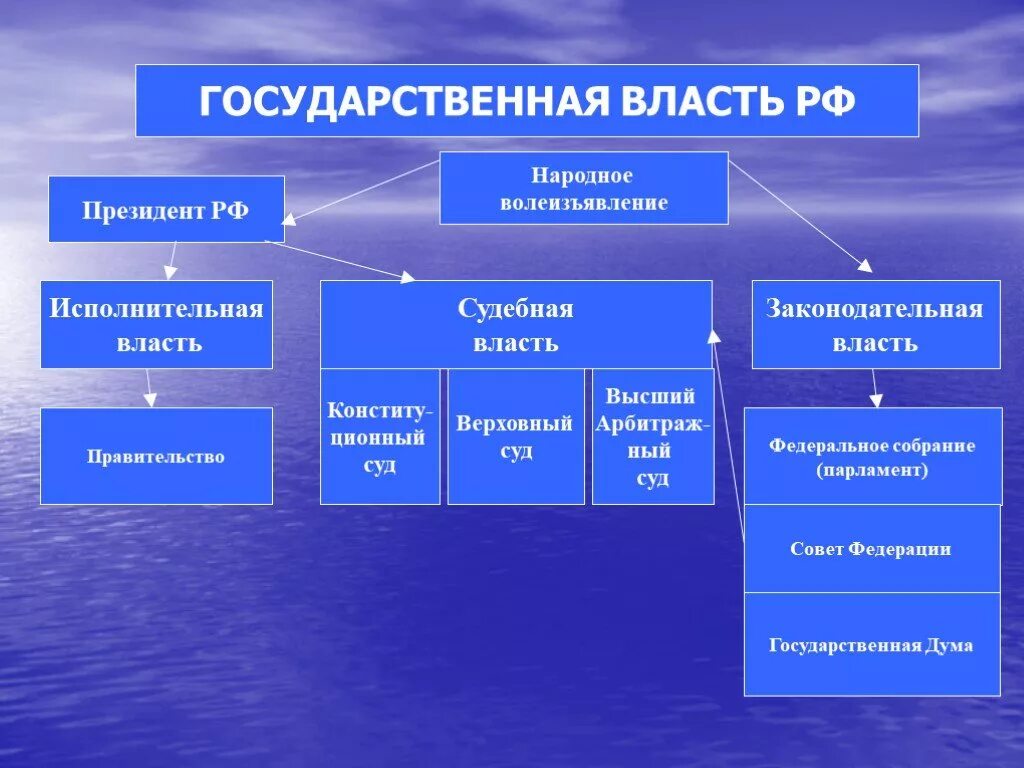 Государственная власть на примере рф