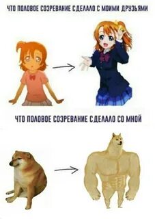 Уроки изучения полового созревания
