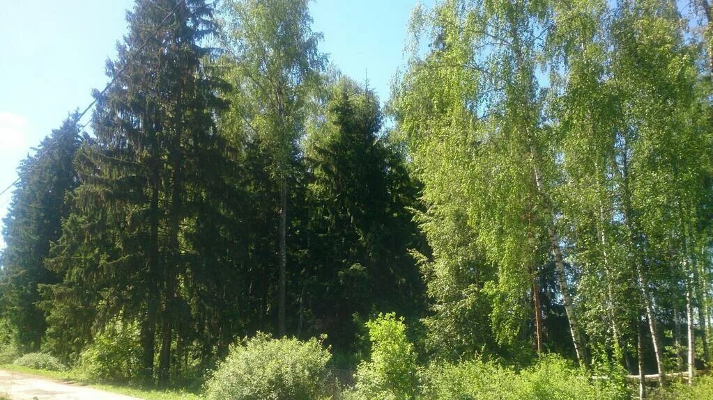 Днп д. Днп ветеран. днп ветеран домодедово. долматово днп ветеран. западная 37 днп ветеран.
