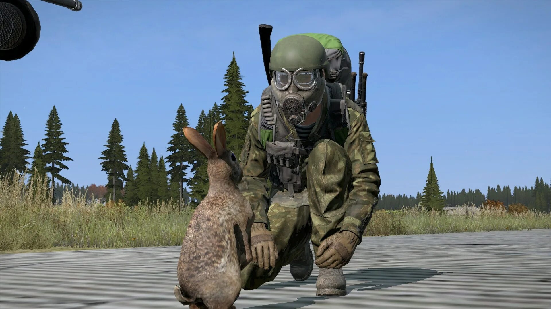Дейзи ливония. Dayz на пс4. Дэйзи стэндэлон. Дэйз стэндэлон. Игра dayz 2.