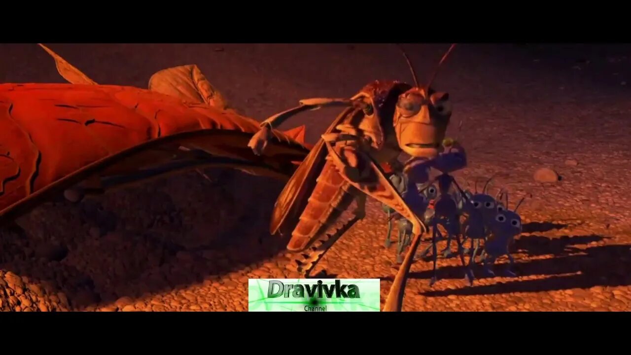 A bug s sleep
