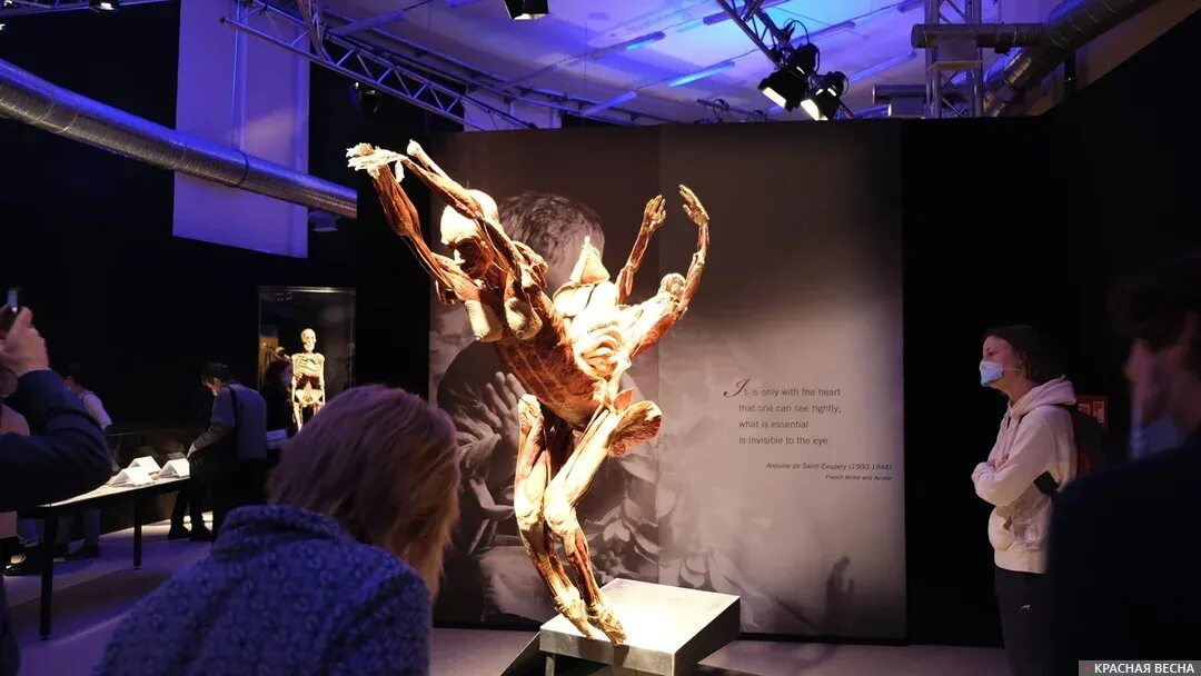 Вднх выставка россия открыта. Body Worlds Москва ВДНХ выставка. Выставка тело человека ВДНХ.