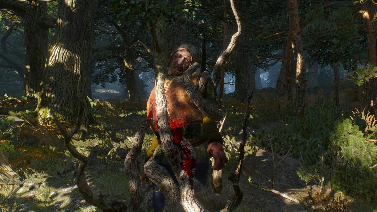 Ведьмак дух. Монстры из ведьмака 3 полуденница. Сердце дерева ведьмак 3. Леший ведьмак 2. Ведьмак дух.