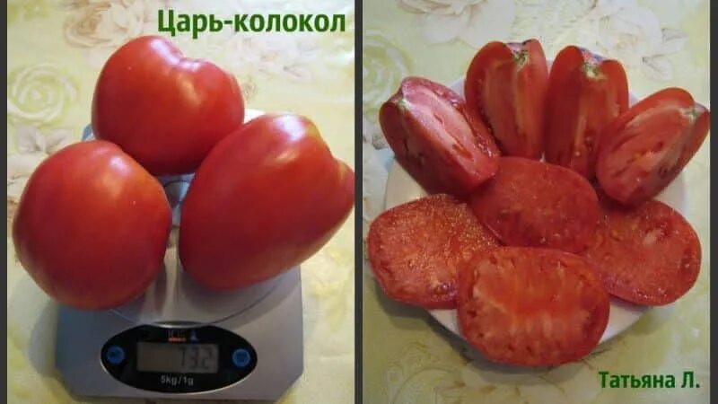 Томаты царь колокол описание сорта. Томат сорт царь-колокол. сорт помидор царь колокол. томат царь колокол урожайность. царь колокол характеристика сорта помидоров.