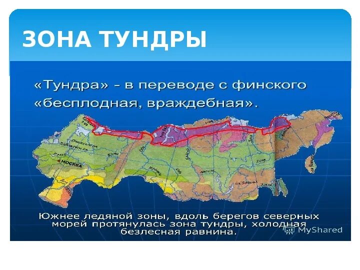 Тундра на карте. Тундра на карте России. Зона тундры на карте. Зона тундры в России. С какими природными зонами граничит тундра