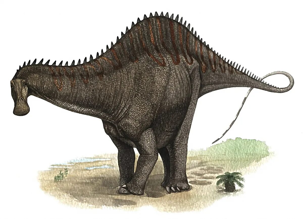 Rebbachisaurus garasbae. Гигантозавр зауропод. Гигантозавр травоядный. Травоядные динозавры с шипами