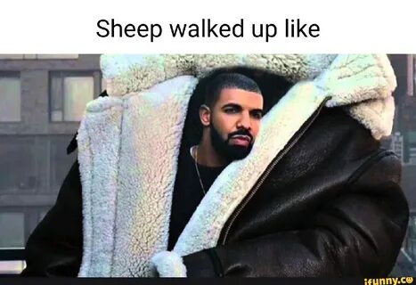 Дрейк собака