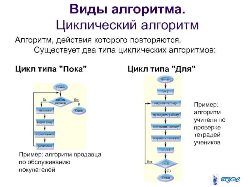 5 любых алгоритмов. Циклы алгоритмов Информатика. Циклический алгоритм 2 типа. Циклический алгоритм примеры Информатика. Виды циклических алгоритмов в информатике.