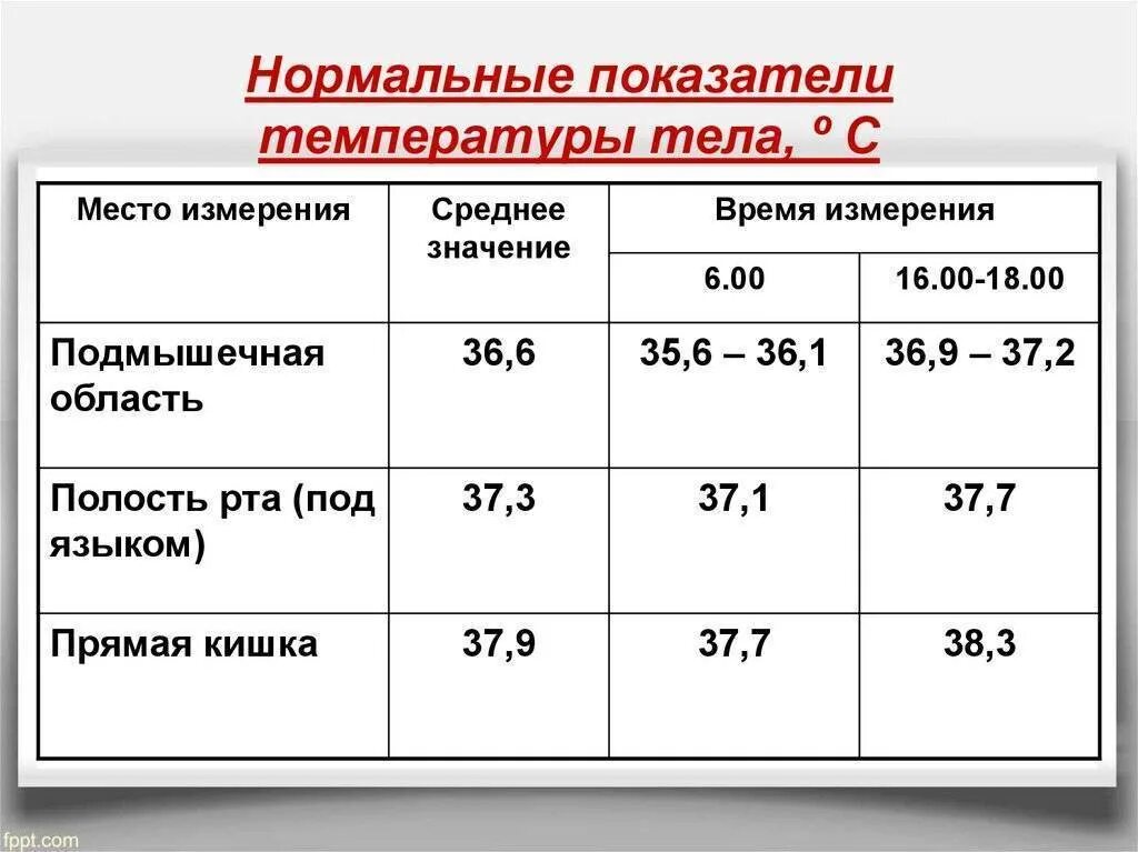 Какая температура тела норма