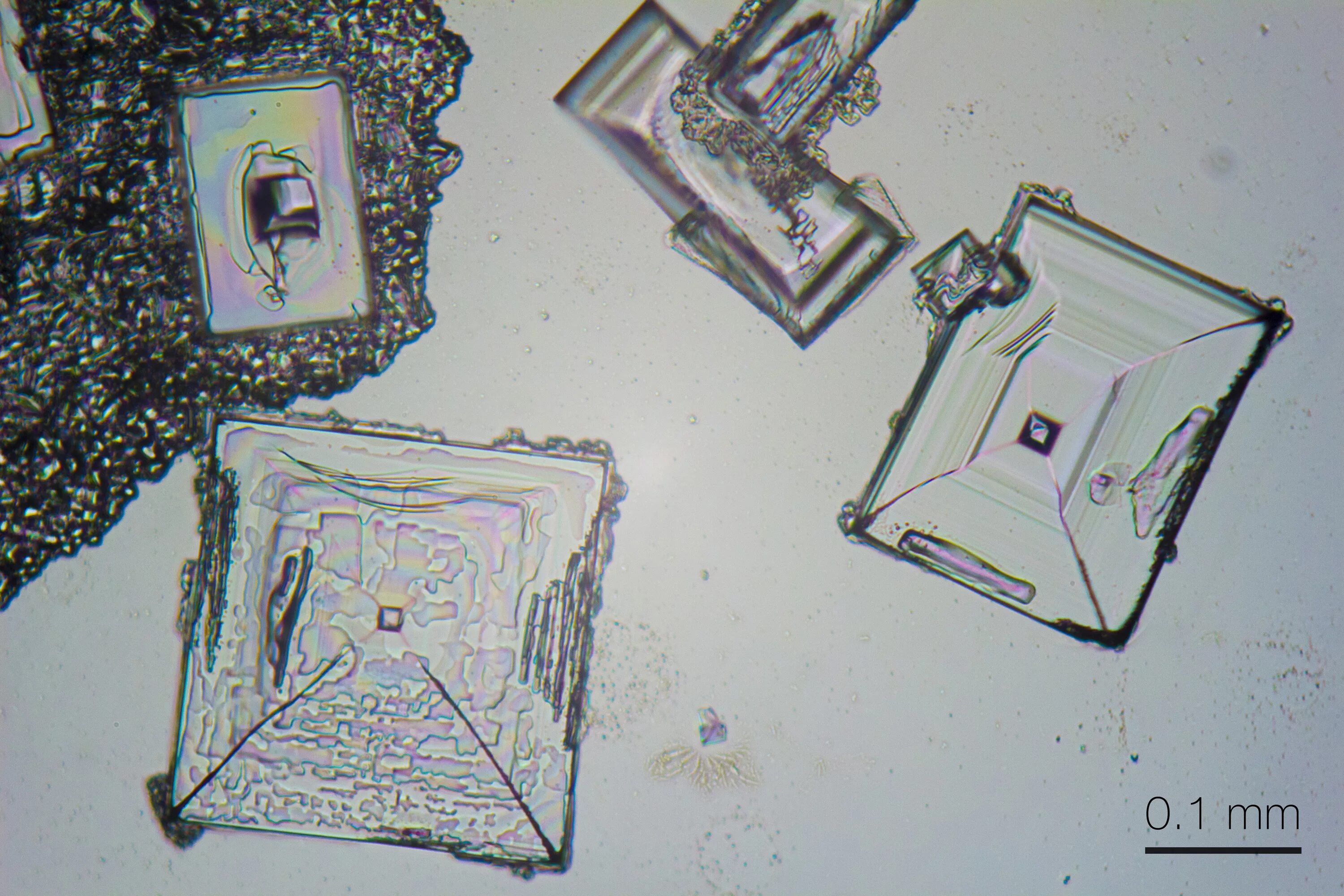 Кристаллы соли под микроскопом. Хлорид натрия под микроскопом. Кристаллы поваренной соли под микроскопом. Кристаллы соли под электронным микроскопом.