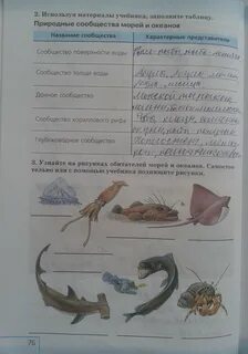 Подпишите названия природных сообществ