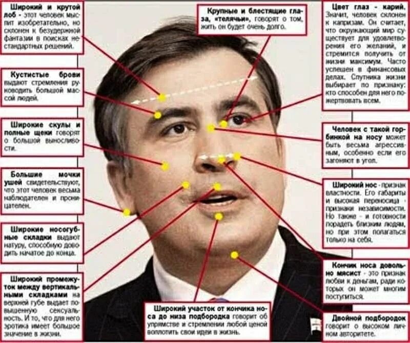 Выражение лоб