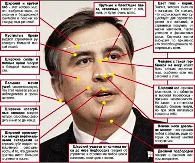 Физиогномика. Физиогномика лица. Чтение по лицу физиогномика. Распознать по лицу человека.