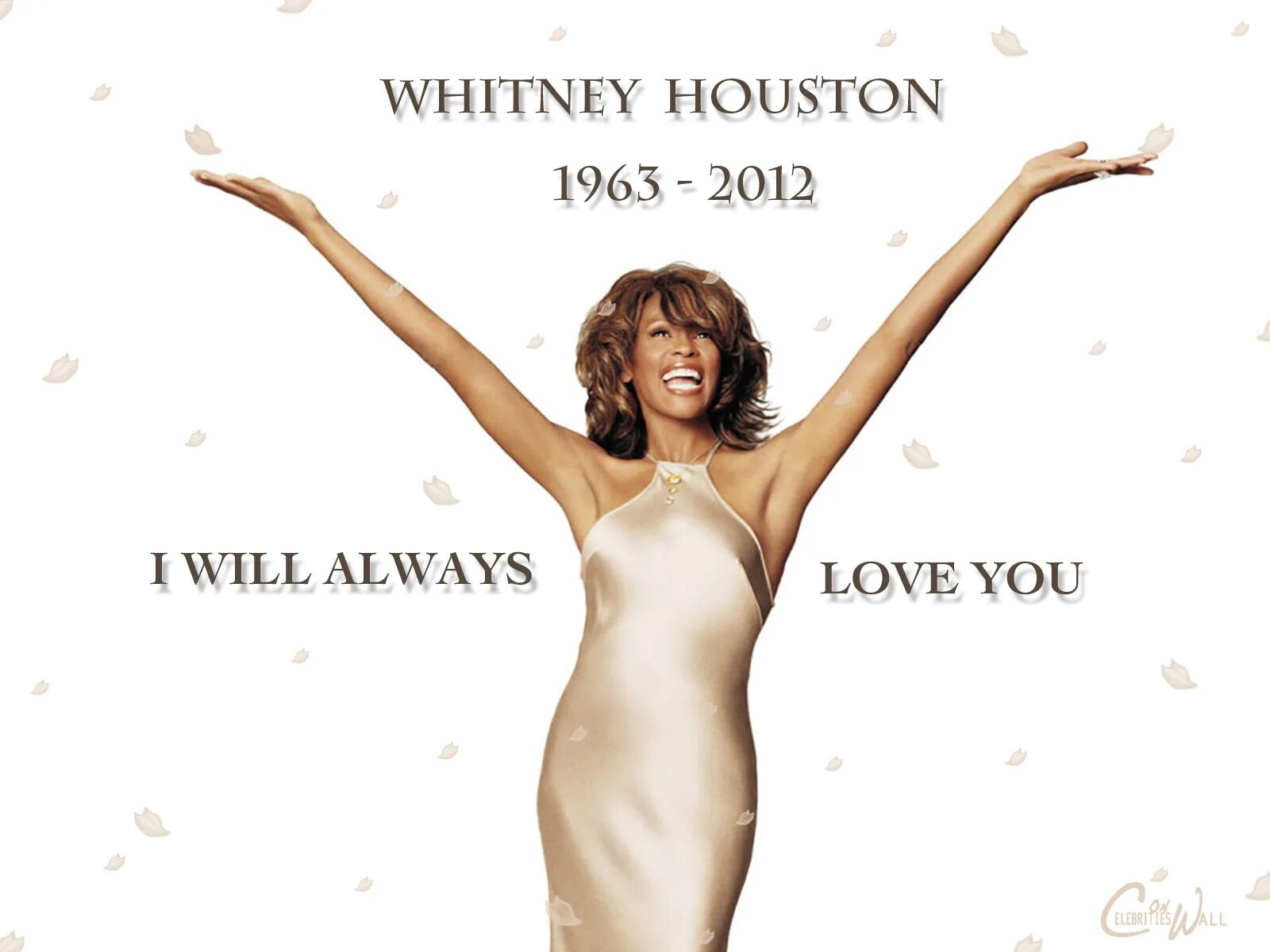 уитни хьюстон вил. Whitney houston tribute. уитни хьюстон сом бади. уитни хьюстон. уитни хьюстон хит из телохранителя.