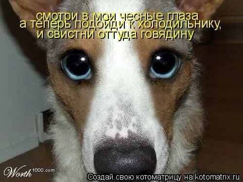 Теперь подойдешь. Теперь подойдешь