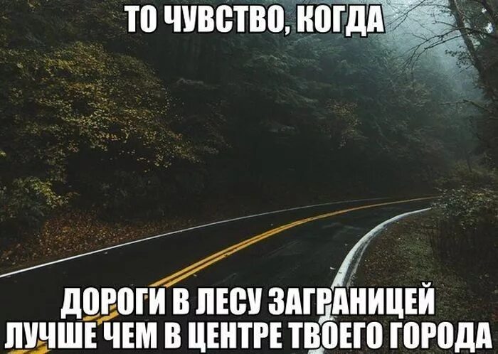 Иди лесом выражение