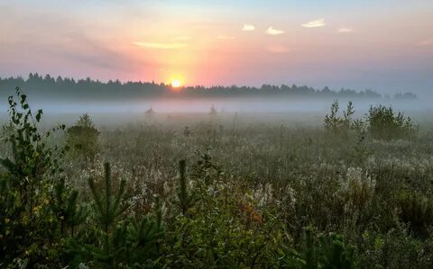 Утро сентябрьское минусинск