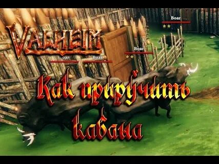 Вальхейм кабан