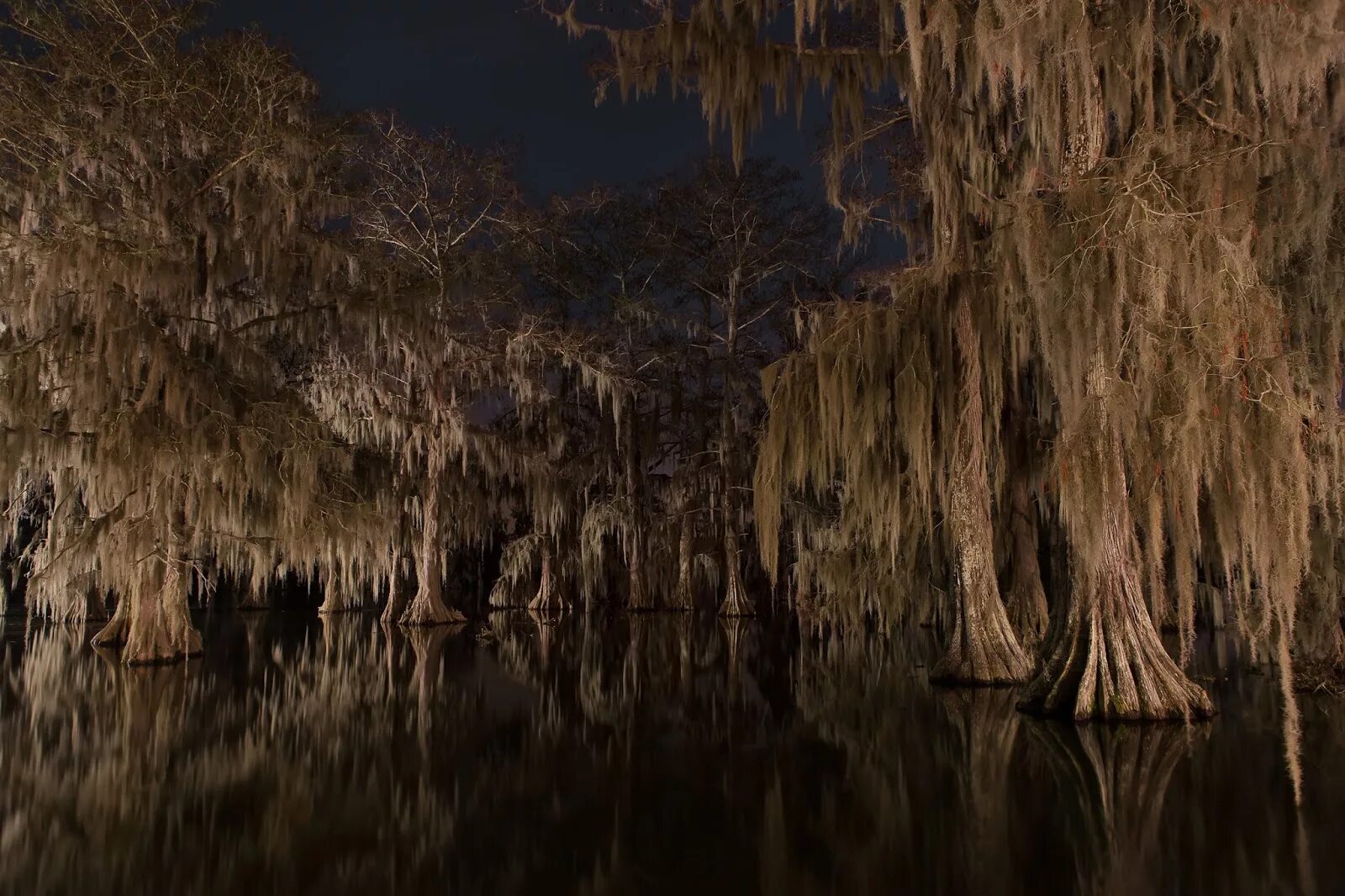 Озеро манчак. Призраки болота манчак. Новый орлеан болота манчак. Новая болотная. Новый орлеан болота манчак.