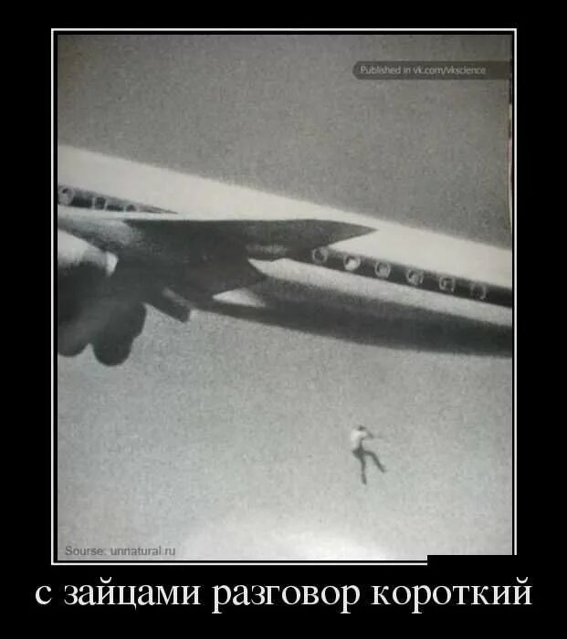 Далеко не короткий разговор. Короткий разговор демотиватор. смешные картинки беседа коротей. mixnews демотиваторы. фото короткого разговора юмор.